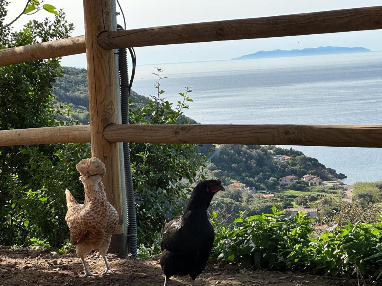 Agriturismo Paradisa Rio dellʼElba 외부 사진