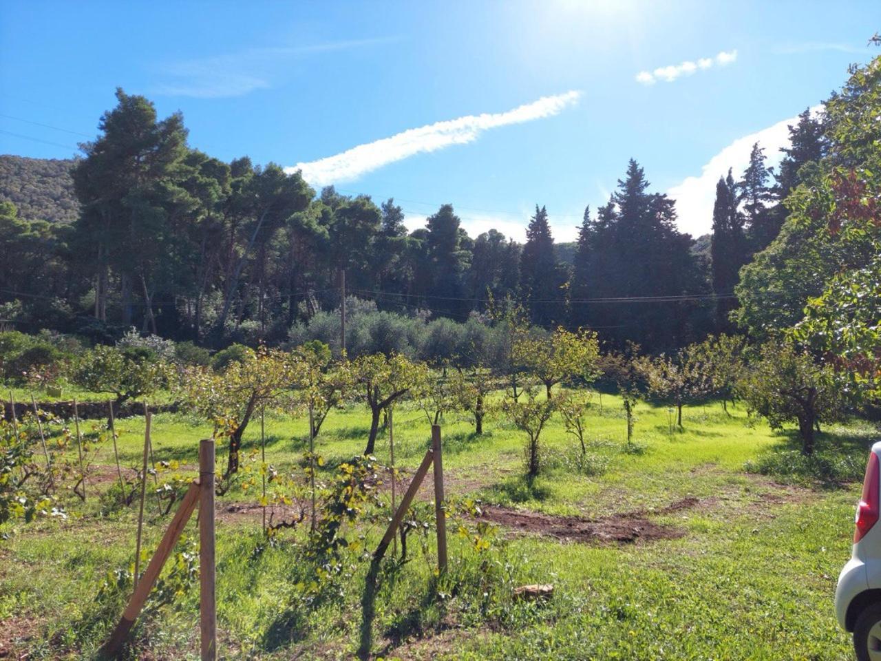 Agriturismo Paradisa Rio dellʼElba 외부 사진