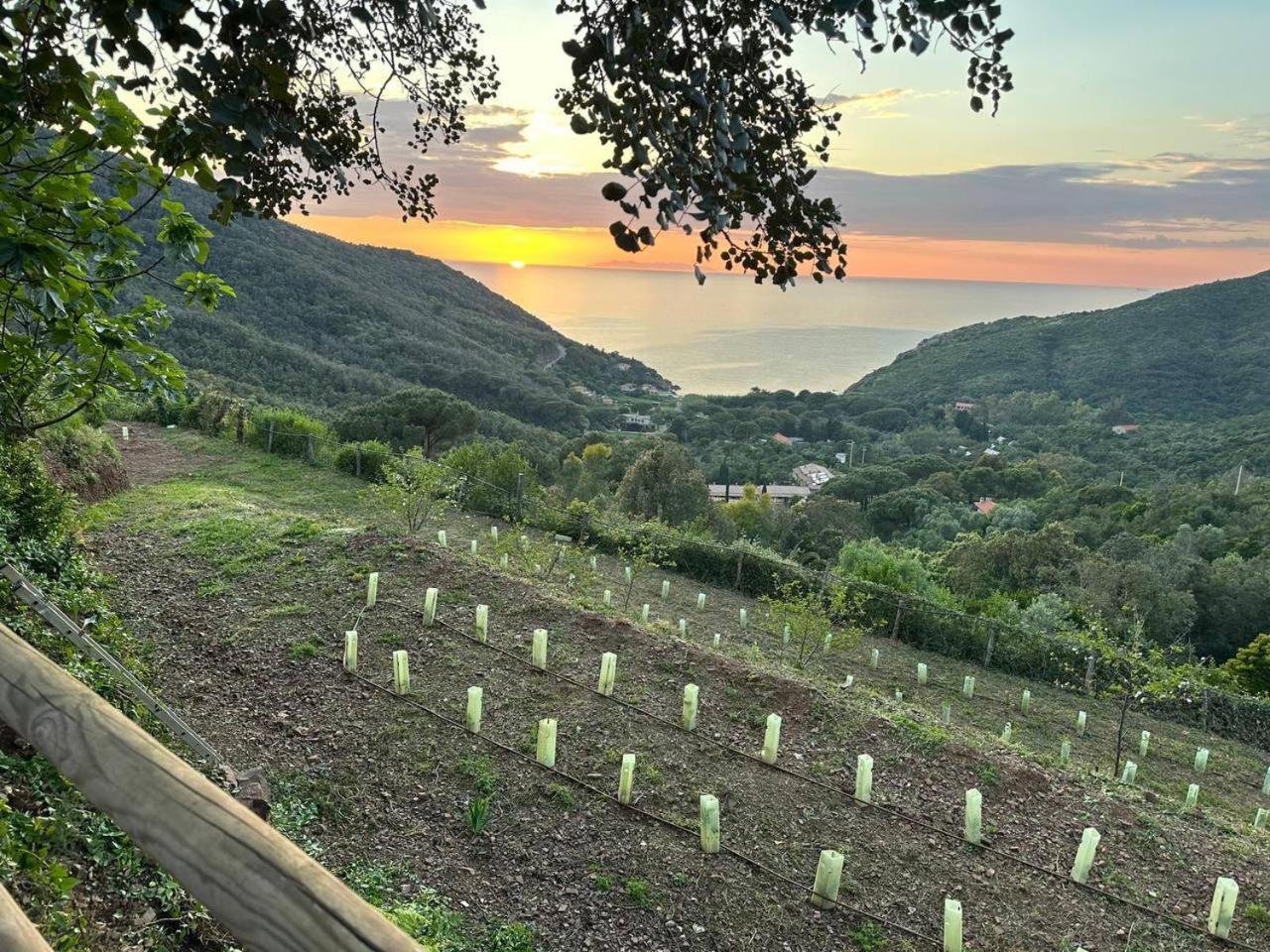 Agriturismo Paradisa Rio dellʼElba 외부 사진